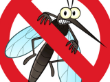 The Buzz About Mosquito Control